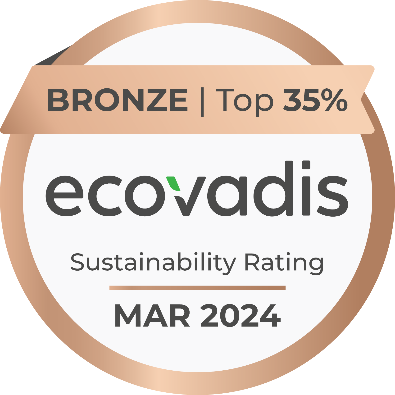 ecovadis 2024
